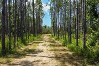 Land for sale in Dixie County, Florida