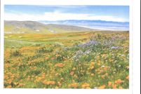 Land for sale in San Luis Obispo County, California