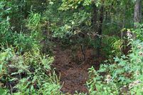 Hunting Property for sale in Jasper County, South Carolina