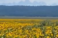 Land for sale in Fremont County, Idaho