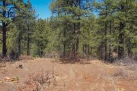 Land for sale in Archuleta County, Colorado