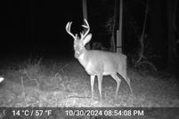 Farm and Ranch for sale in Carroll County, Maryland