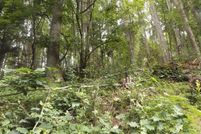 Farm and Ranch for sale in Carroll County, Virginia