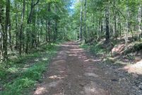 Undeveloped Land for sale in Clay County, Alabama