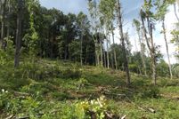 Farm and Ranch for sale in Carroll County, Virginia