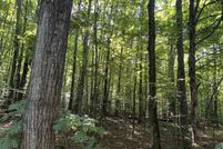 Land for sale in Antrim County, Michigan