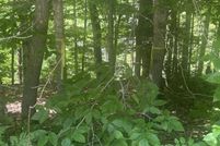 Timberland Property for sale in Franklin County, Maine