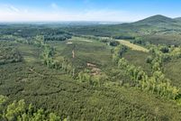 Undeveloped Land for sale in Pittsylvania County, Virginia