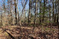 Land for sale in Fannin County, Georgia