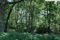 Land for sale in Watauga County, North Carolina