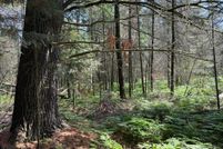 Undeveloped Land for sale in Oneida County, Wisconsin