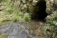 Farm and Ranch for sale in Douglas County, Missouri