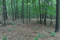Undeveloped Land for sale in Texas County, Missouri