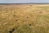 Land for sale in Mitchell County, Kansas