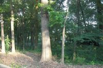 Land for sale in Jefferson County, Alabama