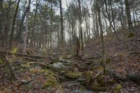 Undeveloped Land for sale in Van Buren County, Arkansas