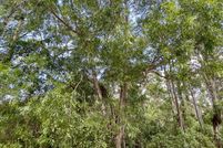 Hunting Property for sale in Palm Beach County, Florida
