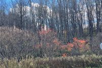 Land for sale in Oneida County, New York