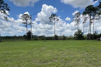 Undeveloped Land for sale in Dixie County, Florida