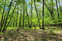 Land for sale in Clare County, Michigan