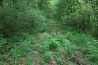 Recreational Property for sale in Giles County, Tennessee