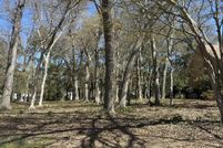 Timberland Property for sale in Brunswick County, North Carolina