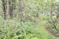 Timberland Property for sale in Monroe County, Pennsylvania