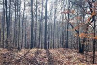 Farm and Ranch for sale in Yalobusha County, Mississippi