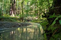 Timberland Property for sale in Sonoma County, California