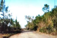 Lakefront Property for sale in Taylor County, Florida