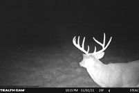 Farm and Ranch for sale in Richland County, Wisconsin