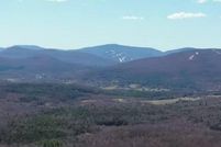Undeveloped Land for sale in Greene County, New York
