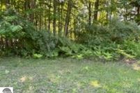 Undeveloped Land for sale in Arenac County, Michigan