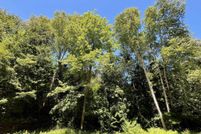 Land for sale in Iosco County, Michigan