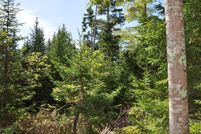 Timberland Property for sale in Lincoln County, Maine