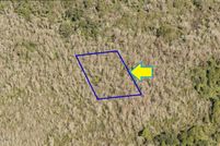 Undeveloped Land in Brevard County, Florida