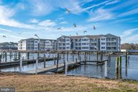 Timberland Property for sale in Sussex County, Delaware