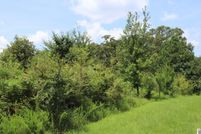Undeveloped Land for sale in Calloway County, Kentucky