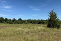 Undeveloped Land for sale in Fannin County, Texas