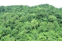 Undeveloped Land for sale in Kanawha County, West Virginia
