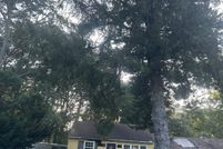 Timberland Property for sale in Cape May County, New Jersey