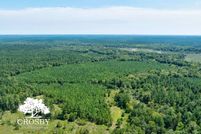 Undeveloped Land for sale in Madison County, Georgia
