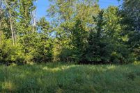 Undeveloped Land for sale in Arenac County, Michigan