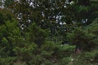 Land for sale in Richmond County, Georgia