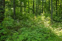 Land for sale in Houghton County, Michigan