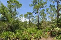Undeveloped Land for sale in Charlotte County, Florida