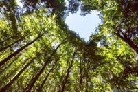 Recreational Property for sale in East Feliciana Parish, Louisiana