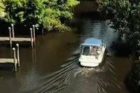 Land for sale in Livingston Parish, Louisiana