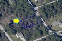 Undeveloped Land in Brevard County, Florida
