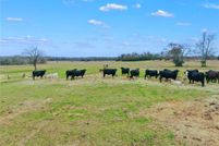 Farm and Ranch for sale in Grimes County, Texas